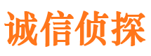 武汉私人侦探